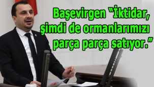 Başevirgen, "iktidar, şimdi de ormanlarımızı parça parça satıyor."