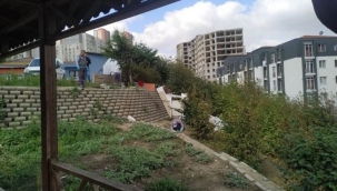 ESENYURT'TAKİ KEMİRGEN SORUNUNA HIZLI MÜDAHALE
