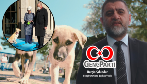 Genç Parti'den sert çıkış: Ülkede başıboş köpek değil, krizi bilinçli büyüten iktidar sorunu var!
