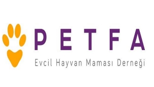 PETFA: "SOKAK HAYVANLARI İÇİN YAŞAMI ÖNCELİKLENDİREN BİR ANLAYIŞ İLE HAREKET EDİLMELİ"