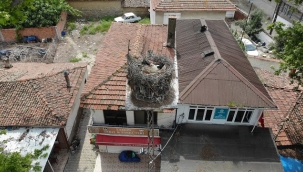 TREDAŞ'IN PLATFORMUNA YUVA YAPAN "GELENDOST", CANLI YAYINLA TAKİPTE