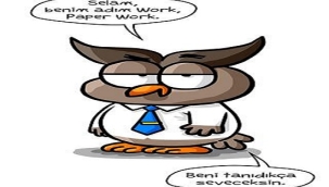 LOW CODE (DÜŞÜK KOD) YAZILIM DÜNYASINDA BEKLENEN KURTARICI MI?
