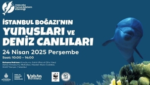 YUNUS GÖZLEM ETKİNLİKLERİ BAŞLIYOR