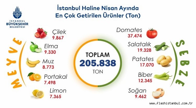 BAHAR AYINDA ÇİLEK VE DOMATES ZİRVEDE
