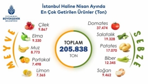 BAHAR AYINDA ÇİLEK VE DOMATES ZİRVEDE