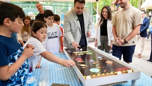 BEŞİKTAŞ BELEDİYESİ KELEBEK FESTİVALİ DÜZENLEDİ! 