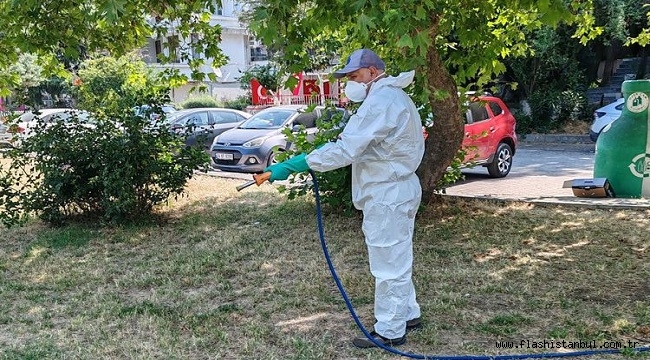 İBB'DEN SAHADA KENELERLE AKTİF MÜCADELE