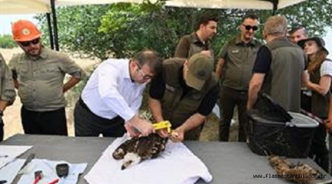 TRAKYA'DA LEYLEKLER VE ŞAH KARTAL İÇİN KORUMA SEFERBERLİĞİ BAŞLADI