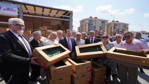 İBB'DEN ÇİFTÇİLERE 5 YILDA 70 MİLYON FİDE DESTEĞİ