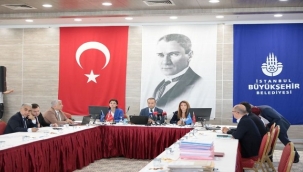 YENİ NESİL TAKSİLER İSTANBUL YOLLARINA ÇIKIYOR