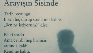 Arayışın sisinde