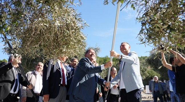 11. ULUSLARARASI MİLAS ZEYTİN ŞENLİĞİ DÜZENLENDİ