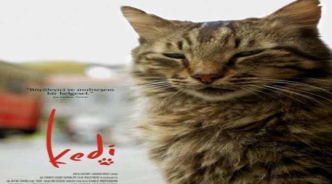 18–23 KASIM'DA ÜCRETSİZ GÖSTERİMLER VE SÖYLEŞİLER İBB BEYOĞLU SİNEMASI'NDA BULUŞUYOR