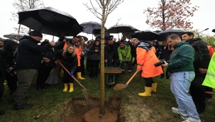  FİDANLAR TOPRAKLA BULUŞTU