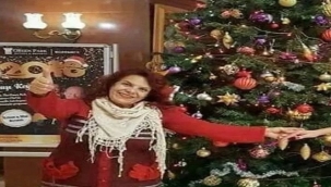 FERİHA GÖKÇEN ÖZSARIKAMIŞ'TAN YENİ YILA ÖZEL KARMA RESİM SERGİSİ 