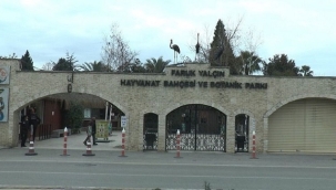 "DARICA FARUK YALÇIN HAYVANAT BAHÇESİ VE BOTANİK PARKI" FAALİYETİNE SON VERDİ