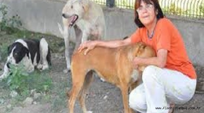 HAKDEM BAŞKANI ELBİRLİLER: "SOĞUK, KAR VE SESSİZLİK CANLARIN TERKEDİLİŞİNİ GÖZLER ÖNÜNE SERİYOR"