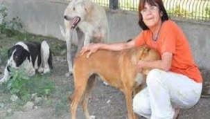 HAKDEM BAŞKANI ELBİRLİLER: "SOĞUK, KAR VE SESSİZLİK CANLARIN TERKEDİLİŞİNİ GÖZLER ÖNÜNE SERİYOR"