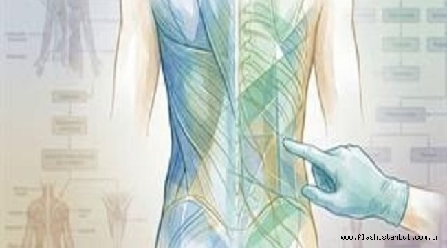 İNCE BEL İÇİN "KABURGA ALDIRMA" DÖNEMİ BİTİYOR