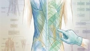 İNCE BEL İÇİN "KABURGA ALDIRMA" DÖNEMİ BİTİYOR