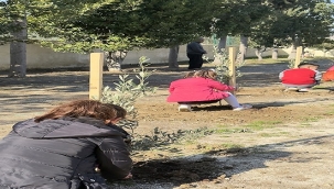 OKUL BAHÇELERİ ZEYTİN BAHÇELERİ OLSUN!..