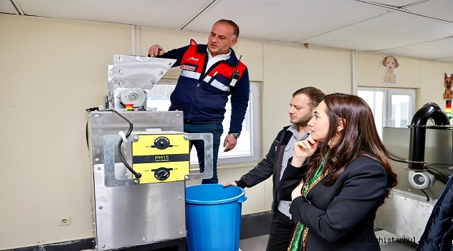 SOKAK HAYVANLARI İÇİN SIFIR ATIKLA MAMA ÜRETİMİ