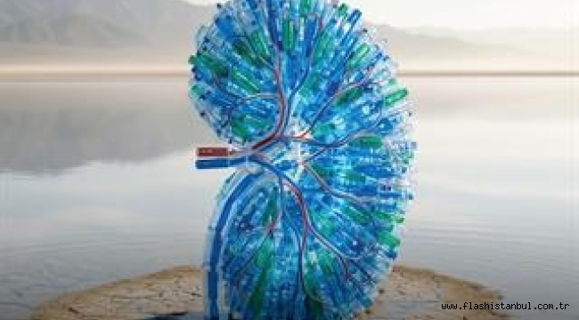 1800 PET ŞİŞE İLE HAZIRLANAN DEV "BÖBREK" KADIKÖY MEYDANI'NDA!