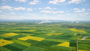 MAHKEME ALPU OVASI'NDA TERMİK SANTRAL PROJESİNİ İPTAL ETTİ