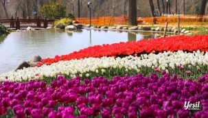 LALE BAYRAMI 11-12 NİSAN'DA KUTLANACAK