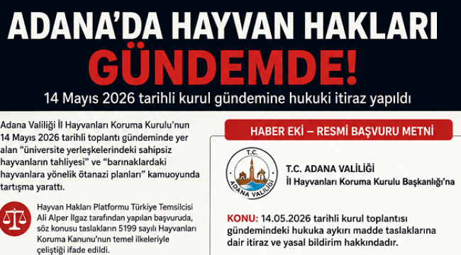 Adana'da Hayvan Hakları Gündemi: Kurul Kararlarına Hukuki İtiraz