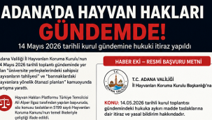 Adana'da Hayvan Hakları Gündemi: Kurul Kararlarına Hukuki İtiraz