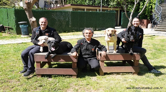 KADIKÖY BELEDİYESİ TÜRKİYE'DE 4 SERTİFİKALI ARAMA KÖPEĞİ OLAN TEK BELEDİYE