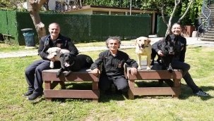 KADIKÖY BELEDİYESİ TÜRKİYE'DE 4 SERTİFİKALI ARAMA KÖPEĞİ OLAN TEK BELEDİYE