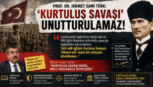 Eski Devlet, Millî Savunma ve Adalet Bakanı Prof. Dr. Hikmet Sami Türk'ten Kurtuluş Savaşı TepkisiTepki
