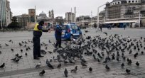 İstanbul'un Can Dostları Zabıtaya Emanet