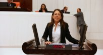  İstanbul Milletvekili Oya ERSOY'dan Kazdağları açıklaması